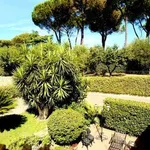 Rent 6 bedroom house of 310 m² in Rome