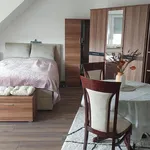 Miete 1 Schlafzimmer wohnung von 50 m² in Leipzig