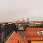 Rent 1 bedroom apartment of 32 m² in Berlin