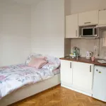 Studio of 25 m² in Prague