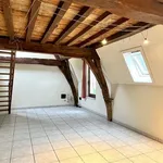  appartement avec 1 chambre(s) en location à ANTWERPEN