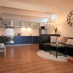 Rent 2 bedroom apartment of 60 m² in Prague