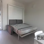 Rent 1 bedroom apartment of 49 m² in Novara