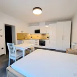 Rent 1 bedroom apartment in Brno