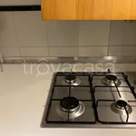 Rent 3 bedroom apartment of 80 m² in Torino