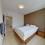 Rent 3 bedroom apartment in Zlín