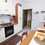 Rent 3 bedroom apartment of 65 m² in Frosinone