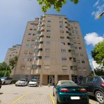 Alugar 5 quarto apartamento em Porto