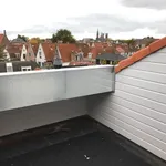 Rent 2 bedroom apartment of 50 m² in Haarlem