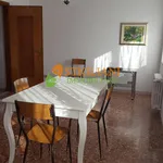 Rent 3 bedroom apartment of 70 m² in Campobasso