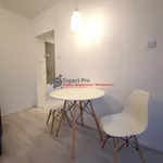 Rent 1 bedroom apartment of 25 m² in Wałbrzych