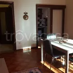 Rent 5 bedroom apartment of 150 m² in Rovigo