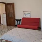 Monolocale di 45 m² a Piacenza