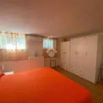 Rent 2 bedroom apartment of 55 m² in Terracina