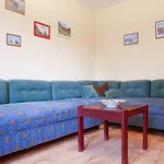 Rent 1 bedroom apartment of 45 m² in Brno