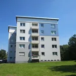 Rent 3 bedroom apartment of 55 m² in Essen