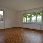 Neu renovierte 4.5 Zimmer Wohnung im Erdgeschoss mit Blick ins Grüne