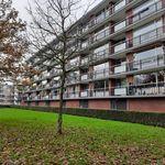 apartment in Narcissenlaan, Oegstgeest, Netherlands