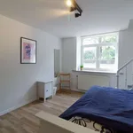 Kamer van 300 m² in brussels