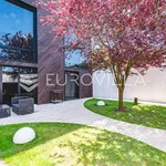 Rent 3 bedroom house of 273 m² in Ivanić-Grad