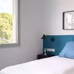 Alquilar 8 dormitorio apartamento en Barcelona