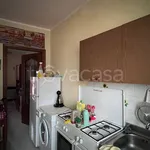 Rent 2 bedroom apartment of 30 m² in Torino