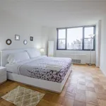 Rent 2 bedroom house in New York