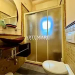 Rent 5 bedroom house of 140 m² in Pietrasanta