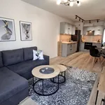 Rent 2 bedroom apartment of 40 m² in Gliwice