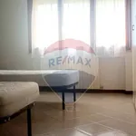 Rent 5 bedroom apartment of 100 m² in Ferrara