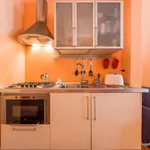 Rent 1 bedroom apartment of 49 m² in Florence