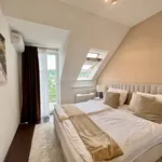 Rent 4 bedroom apartment of 170 m² in Budapest