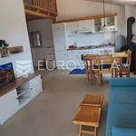 Rent 1 bedroom apartment of 45 m² in Medulin