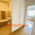 Pronajměte si 2 ložnic/e byt o rozloze 38 m² v Trhový Štěpánov