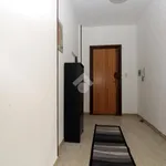 Rent 2 bedroom apartment of 50 m² in Perosa Argentina