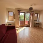 Rent a room of 50 m² in dublin