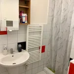 Pronajměte si 1 ložnic/e byt o rozloze 44 m² v Branišovice