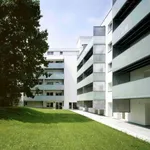 Rent 4 bedroom apartment of 126 m² in Basel