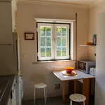 Rent 2 bedroom apartment of 120 m² in Lisbon