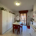 Rent 2 bedroom apartment of 40 m² in Cervia