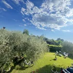 Rent 1 bedroom apartment of 65 m² in pietrasanta