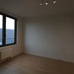 Rent 2 bedroom apartment in Blankenberge