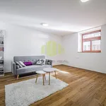 Rent 2 bedroom apartment in Olomouc