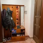 Rent 1 bedroom apartment of 35 m² in Casalmaggiore