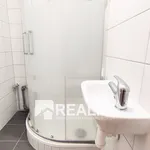 Rent 1 bedroom apartment of 27 m² in Ostrava