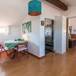 Rent 1 bedroom apartment in porto