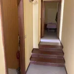 Rent 3 bedroom apartment of 80 m² in Bologna