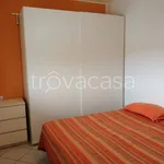 Rent 3 bedroom apartment of 70 m² in Viareggio