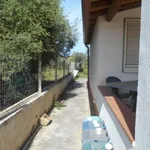 Rent 1 bedroom house of 60 m² in Castelvetrano