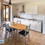 Rent 2 bedroom apartment of 60 m² in Bologna